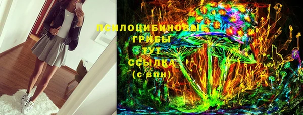 МДПВ Алексин