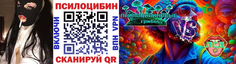 Псилоцибиновые грибы мицелий  где купить   Анадырь 