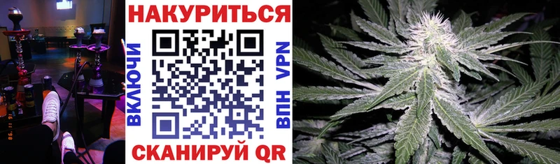 Канабис сатива  Анадырь 